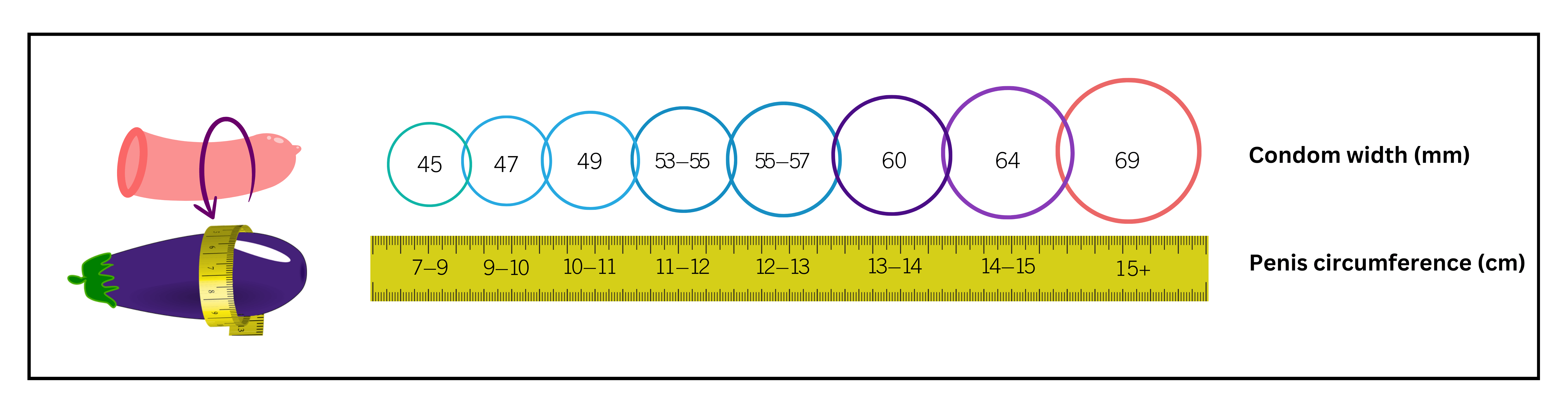 Infographic displaying various condom sizes and corresponding measurements